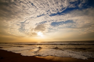 비트코인 vs 달러: 금세기 금융 패러다임의 전환점